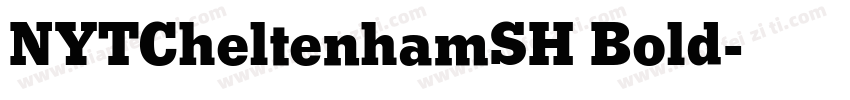 NYTCheltenhamSH Bold字体转换